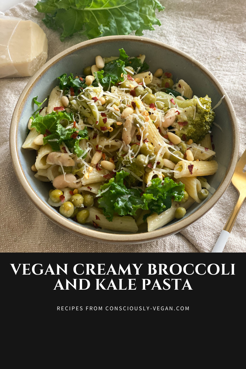 Vegan Creamy Broccoli and Kale Pasta 