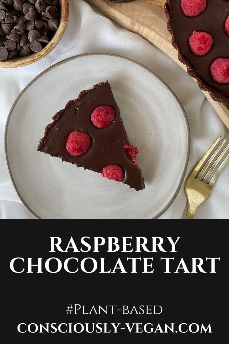 Raspberry Chocolate Tart - No Bake
